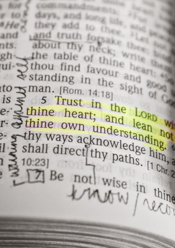 thoughts: proverbs 3:5