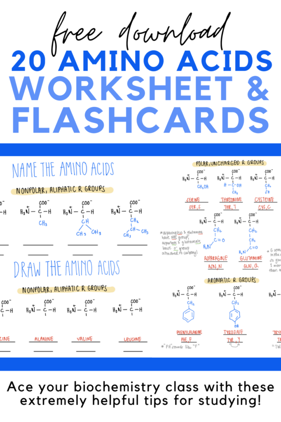 5 Extremely Helpful Tips for Studying Biochemistry (Includes Free Flashcards & Worksheet)