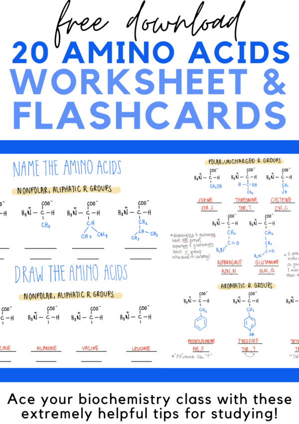 5 Extremely Helpful Tips for Studying Biochemistry (Includes Free Flashcards & Worksheet)
