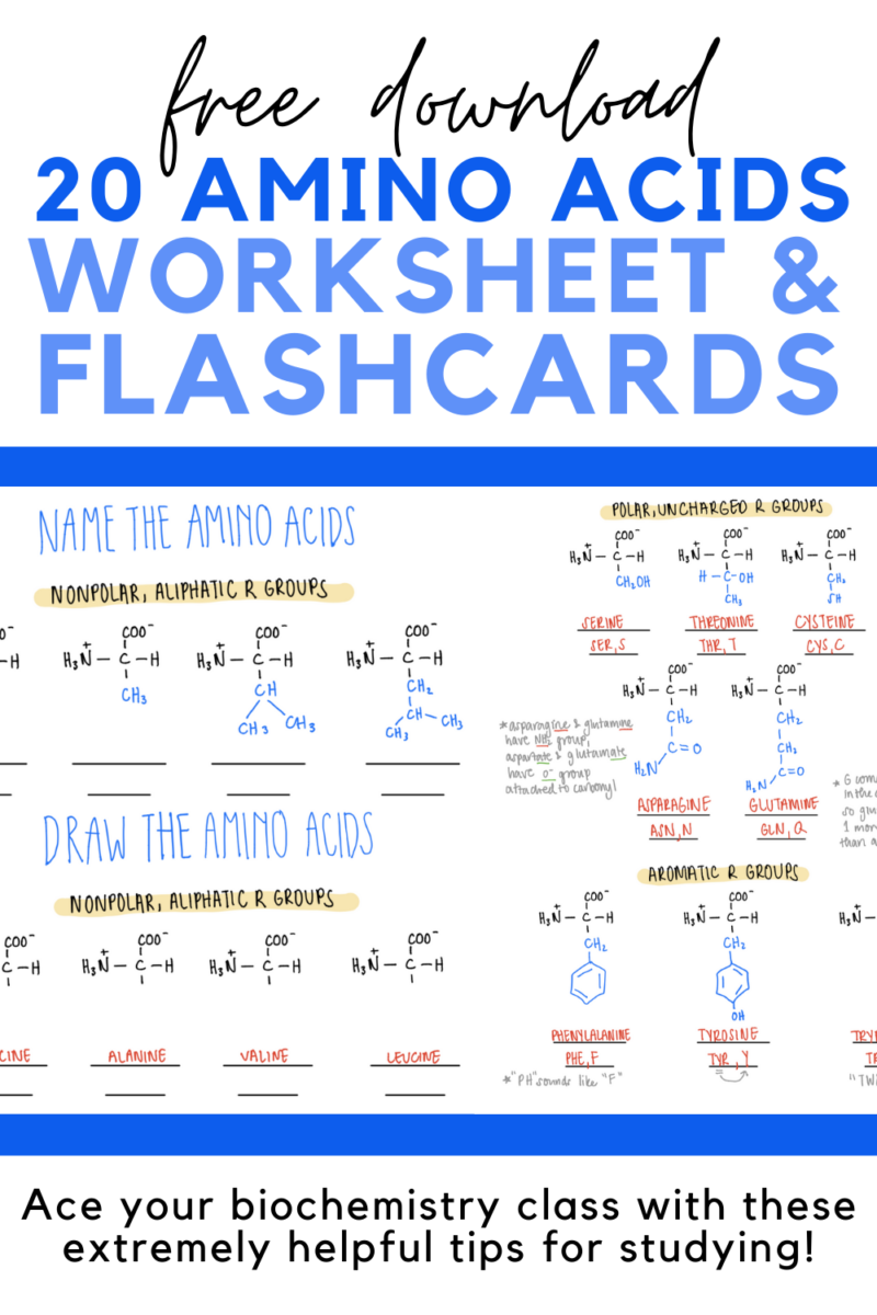 5 Extremely Helpful Tips for Studying Biochemistry (Includes Free ...